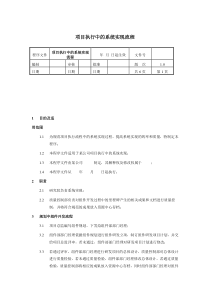 项目执行中的系统实现流程