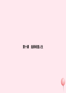 九年级政治全册 第四单元 满怀希望 迎接明天 第十课 选择希望人生 第1框 正确对待理想与现实习题课