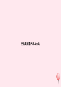 九年级政治全册 第三单元 融入社会 肩负使命 第六课 参与政治生活 第2框 宪法是国家的根本大法习题