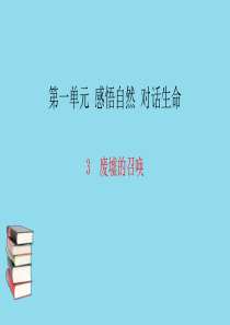 九年级语文下册 第一单元 3废墟的召唤习题课件 语文版