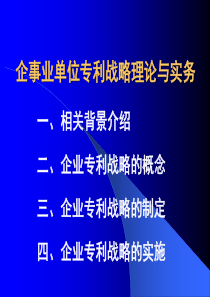 企业专利战略理论与实务(大纲)zlzl