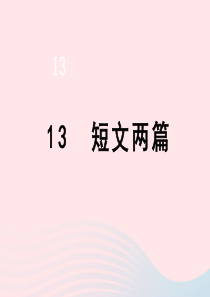 九年级语文下册 第四单元 13《短文两篇》教学课件 新人教版