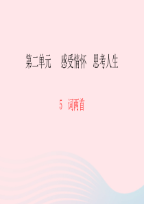 九年级语文下册 第二单元 5 词两首习题课件 语文版