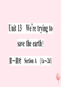 九年级英语全册 Unit 13 We’re trying to save the earth第一课时