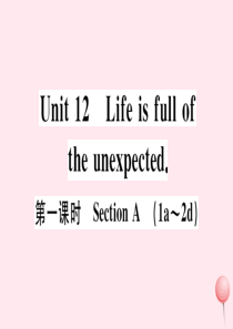 九年级英语全册 Unit 12 Life is full of the unexpected第一课时