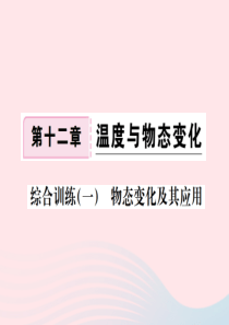 九年级物理全册 综合训练（一）物态变化及其应用习题课件 （新版）沪科版