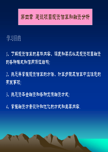 项目投资估算和融资分析