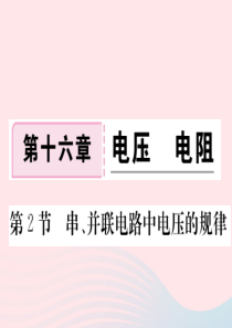 九年级物理全册 第十六章 第2节 串、并联电路中电压的规律习题课件 （新版）新人教版