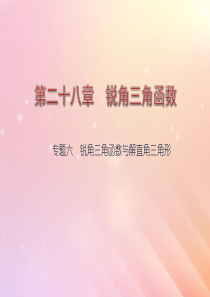 九年级数学下册 第28章 锐角三角函数 专题六 锐角三角函数与解直角三角形课件