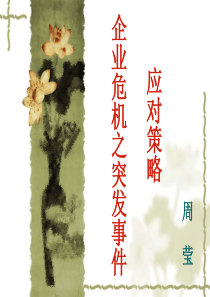 企业危机应对策略