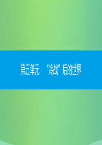 九年级历史下册 第五单元“冷战”后的世界 第17课 现代世界的科技与文化课件 北师大版