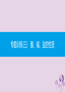 九年级化学下册 第十一单元 盐 化肥 专题训练（三）酸、碱、盐的性质课件 （新版）新人教版