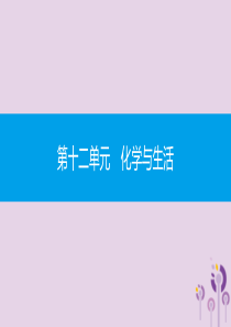 九年级化学下册 第十二单元 化学与生活易错强化练课件 （新版）新人教版