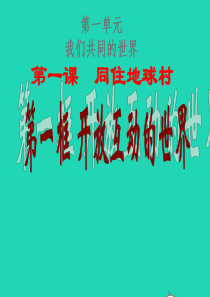 九年级道德与法治下册 第一单元 我们共同的世界 第一课 同住地球村 第1框 开放互动的世界课件4 新