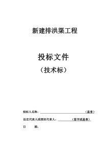 新建排洪渠工程投标文件