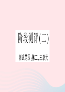 江西省2020春九年级语文下册 阶段测评（二）课件 新人教版