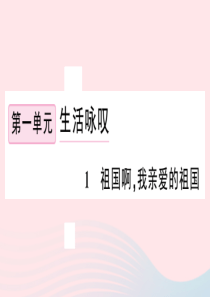 江西省2020春九年级语文下册 第一单元 1 祖国啊，我亲爱的祖国习题课件 新人教版