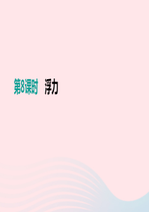 江西省2019中考物理一轮专项 第08单元 浮力课件