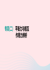 江西省2019中考物理二轮专项 专项02 平衡力与相互作用力辨析课件