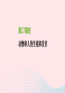 江苏省徐州市2019年中考生物复习 第六单元 生命的延续与进化 第17课时 动物和人的生殖和发育课件