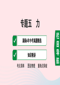 湖南省2020年中考物理一轮复习 专题五 力课件