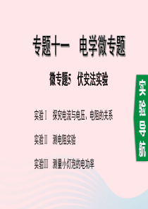 湖南省2020年中考物理一轮复习 专题十一 电学微专题 微专题5 伏安法实验课件