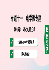 湖南省2020年中考物理一轮复习 专题十一 电学微专题 微专题4 动态电路分析课件