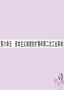 湖南省2019年中考历史复习 第一篇 教材系统复习 第4板块 世界历史 第6单元 资本主义制度的扩展