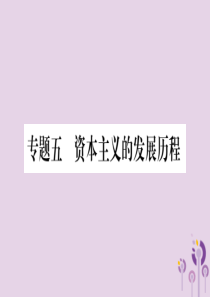 湖南省2019年中考历史复习 第二篇 知能综合提升 专题突破5 资本主义的发展历程课件