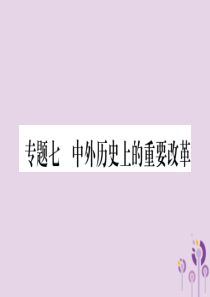 湖南省2019年中考历史复习 第二篇 知能综合提升 专题突破7 中外历史上的重要改革课件