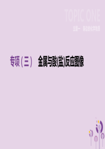 河北省2019年中考化学复习 主题一 身边的化学物质 专项（三）金属与酸（盐）反应图像课件