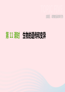 广东省深圳市2019年中考生物 主题复习六 生物的生殖、发育和遗传、变异 第11课时 生物的遗传和变