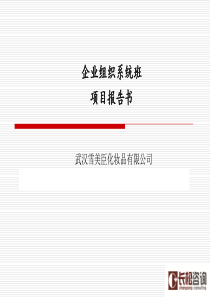 项目报告书18期(雪美臣)