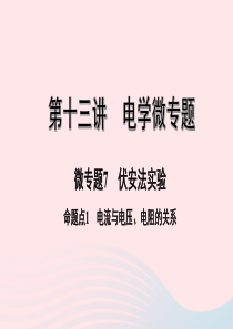 广东省2020中考物理一轮复习 第十三讲 电学微专题 微专题7 伏安法实验 命题点1 电流与电压、电