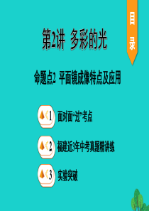 福建省2020年中考物理一轮复习 基础考点一遍过 第2讲 多彩的光 命题点2 平面镜成像特点及应用课