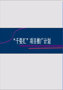 项目推广计划ppt1ppt3