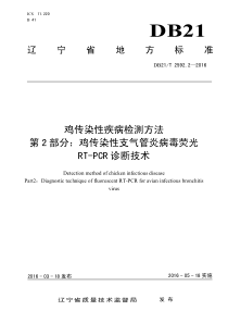 DB21∕T 2592.2-2016 鸡传染性疾病检测方法 第2部分鸡传染性支气管炎病毒荧光RT-P