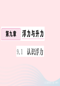 八年级物理下册 9.1 认识浮力习题课件 （新版）粤教沪版