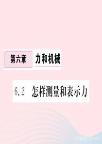 八年级物理下册 6.2 怎样测量和表示力习题课件 （新版）粤教沪版