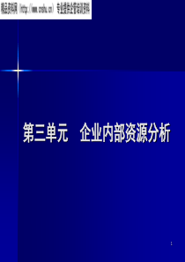 企业战略-内部资源分析