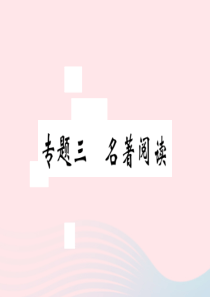 安徽省2020春九年级语文下册 专题三 名著阅读习题课件 新人教版