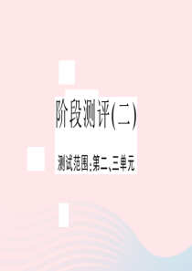 安徽省2020春九年级语文下册 阶段测评（二）课件 新人教版