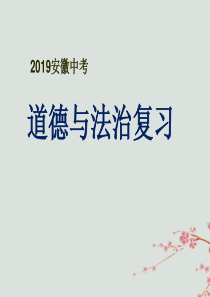 安徽省2019届中考道德与法治复习 考点解读课件