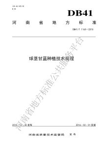 DB41T 1163-2015 球茎甘蓝种植技术规程
