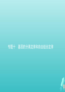 2020届高考生物一轮复习 专题十 基因的分离定律和自由组合定律课件