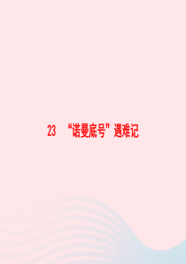 2020春四年级语文下册 第六单元 23 诺曼底号遇难记习题课件 新人教版