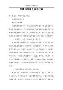 师德师风建设培训收获