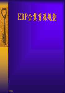 ERP企业资源规划cxy