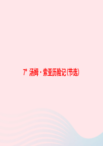 2020春六年级语文下册 第二单元 7 汤姆 索亚历险记(节选)课件 新人教版