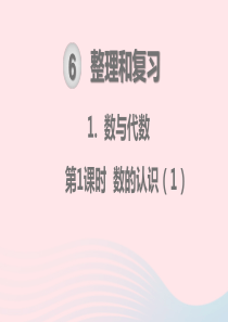 2020春六年级数学下册 第6单元 整理和复习 1数与代数 第1课时 数的认识教学课件 新人教版